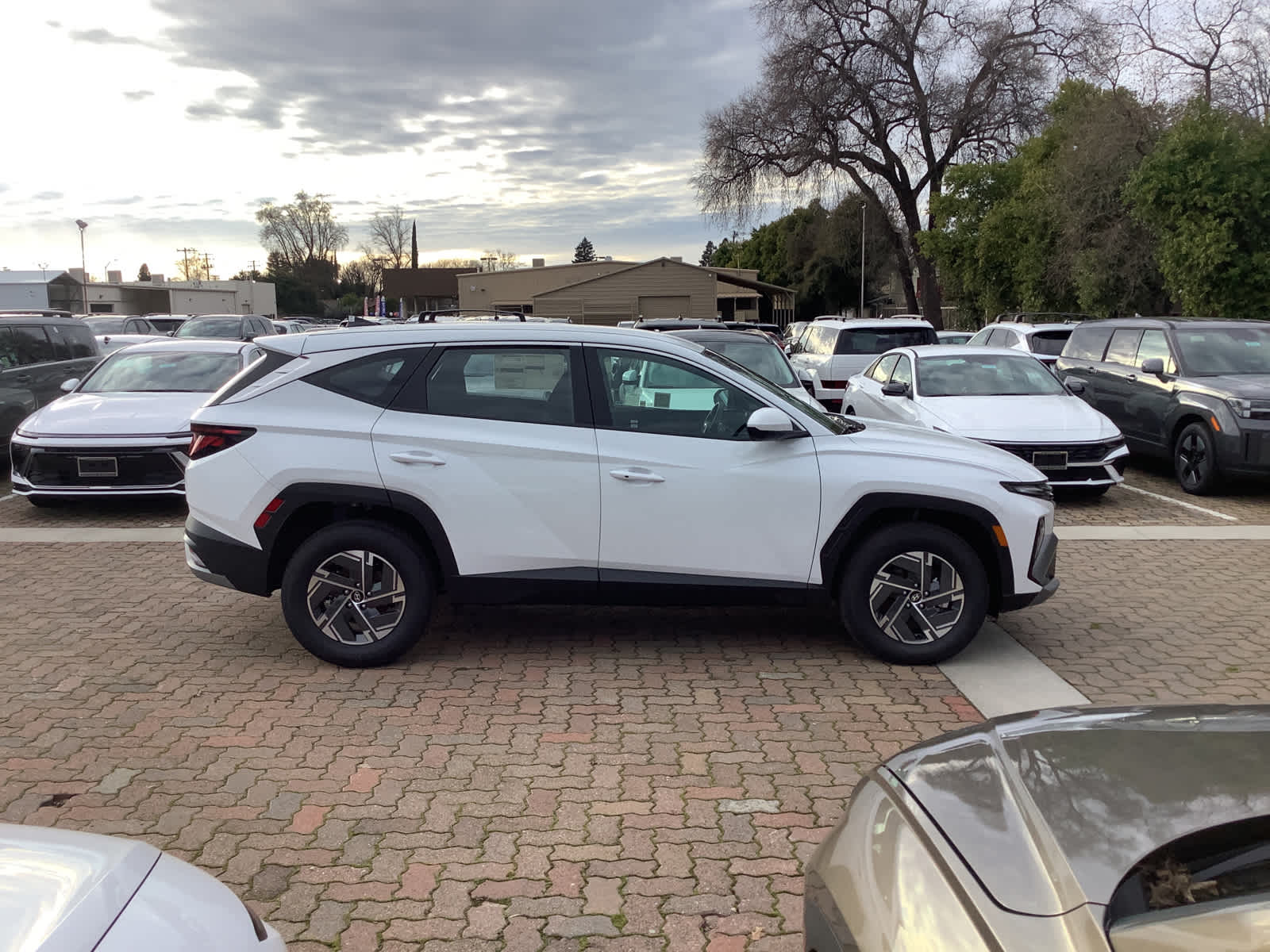 2026 Hyundai TUCSON HYBRID Blue