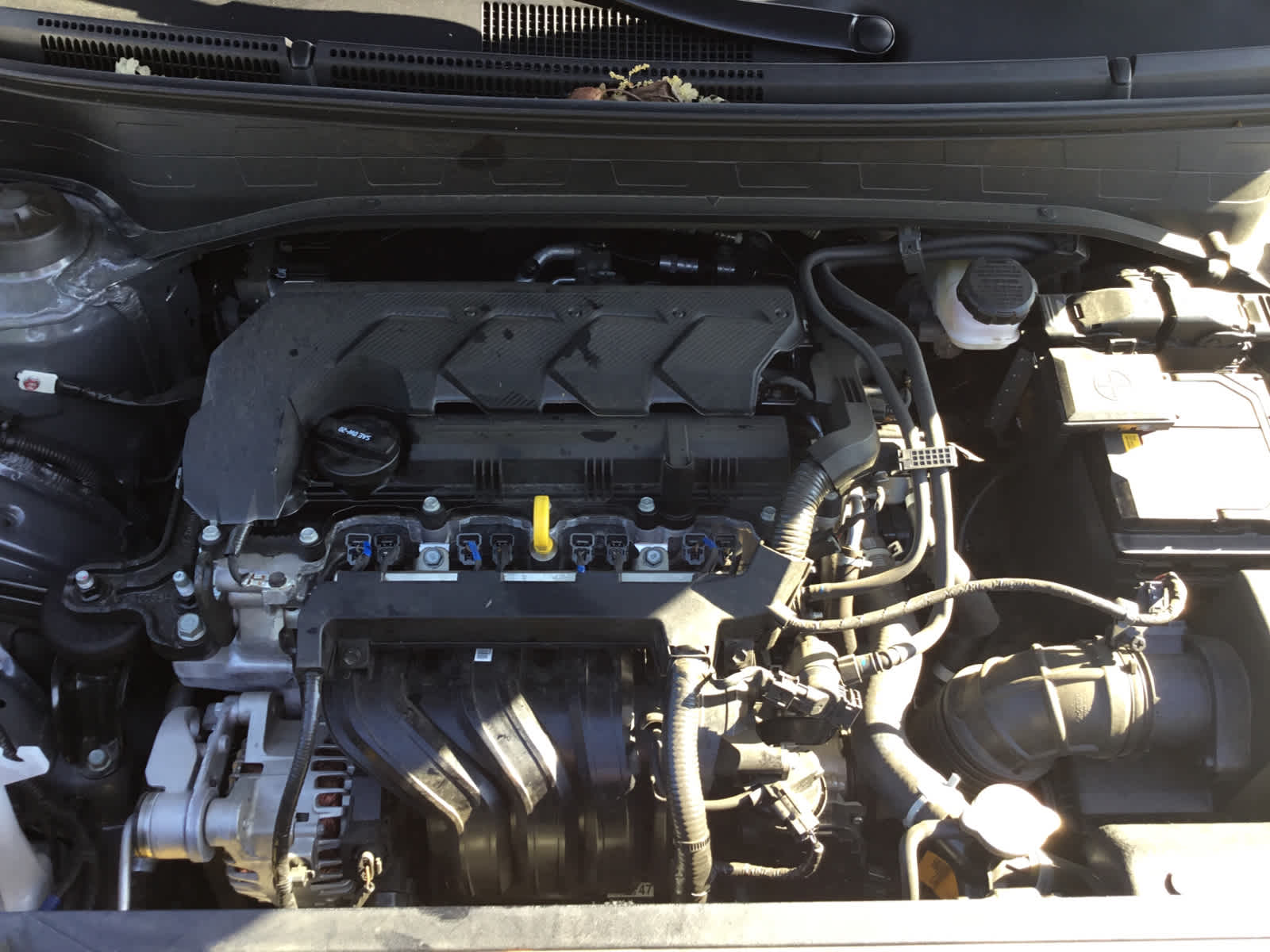 2025 Hyundai VENUE SE