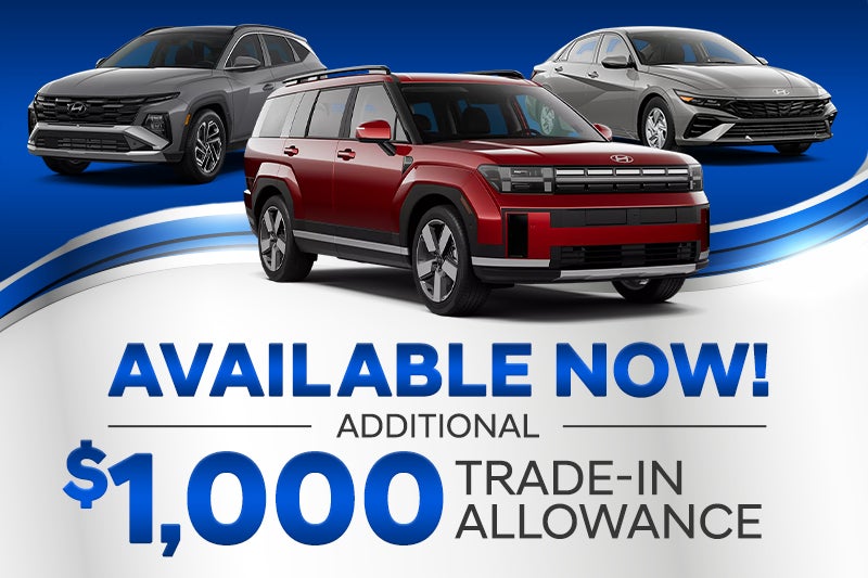 Exclusive Trade Offer